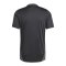 adidas Wolfsberger AC Trainingshirt Schwarz - schwarz