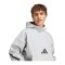 adidas Z.N.E. Hoody Grau - grau