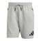 adidas Z.N.E. Short Grau - grau