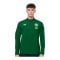 Castore FAI Irland League Matchday Anthem Jacke - gruen