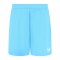 Castore FC Brügge Torwartshort Heim 2025/2026 Blau F030 - blau