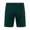 Castore Feyenoord Rotterdam Pro Players Short Kids Grün F097 - gruen