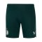 Castore Feyenoord Rotterdam Pro Players Short Kids Grün F097 - gruen