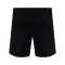 Castore Feyenoord Rotterdam Short Schwarz - schwarz