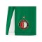 Castore Feyenoord Rotterdam Short 3rd 2024/2025 Kids Grün F101 - gruen