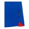 Castore Glasgow Rangers Trikot Heim 2025/2026 Blau F030 - blau