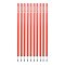 Cawila Academy Slalomstangen 10er Set (33mmx100cm) Rot - rot