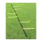 Cawila Goalkeeper Ladder & Tasche 6 Sprossen - weiss