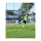 Cawila Goalkeeper Ladder & Tasche 6 Sprossen - weiss