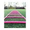 Cawila LIGA Speed 30x40cm Koordinationsleiter Pink F1000706350 - rosa