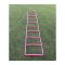 Cawila LIGA Speed 30x40cm Koordinationsleiter Pink F1000706350 - rosa