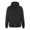 Craft Community 2.0 Logo Hoody Schwarz F999000 - schwarz