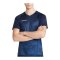 Craft Premier Fade Trikot Blau - blau
