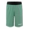Craft Progress Reversible Basket Short Kids Grün F651900 - gruen