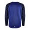 Craft Squad 2.0 Sweatshirt Blau F346390 - blau