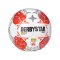 Derbystar Admiral Bundesliga Brillant APS v24 Spielball F024 - weiss