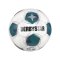 Derbystar Apus APS v26 Spielball Weiß - weiss