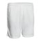 Derbystar Basic Hose Kids Weiss F100 - weiss