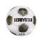 Derbystar Brillant APS v25 Spielball Weiß - weiss