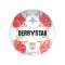 Derbystar Admiral Bundesliga Brillant Miniball v24 F024 - weiss