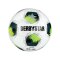 Derbystar Brillant TT DB v24 Trainingsball Weiss - weiss