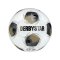 Derbystar Brillant TT v25 Trainingsball Weiß - weiss