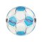 Derbystar Bundesliga Brillant Replica v24 Trainingsball F024 - weiss