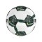 Derbystar DFB Brillant Replica S-Light V25 Trainingsball Weiß - weiss