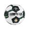 Derbystar DFB Brillant Replica S-Light V25 Trainingsball Weiß - weiss