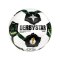Derbystar DFB-Pokal Brillant Aps V25 Spielball Weiß - weiss