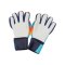 Derbystar Goalie v21 Torwarthandschuhe Blau - blau