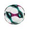 Derbystar ÖFBL Brillant APS v25 Spielball Weiß - weiss