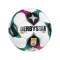 Derbystar ÖFBL Brillant APS v25 Spielball Weiß - weiss