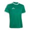 Derbystar Primo Trikot Grün Weiss F410 - gruen