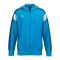 Erima Celebrate 125 Kapuzenjacke Blau - blau