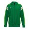 Erima Celebrate 125 Kapuzenjacke Grün - gruen