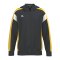 Erima Celebrate 125 Kapuzenjacke Kids Schwarz - schwarz
