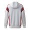 Erima Celebrate 125 Kapuzenjacke Kids Weiss - weiss