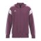 Erima Celebrate 125 Kapuzenjacke Rot Fburgundylavender - rot
