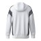 Erima Celebrate 125 Kapuzenjacke Weiss - weiss