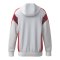 Erima Celebrate 125 Kapuzenjacke Weiss - weiss