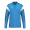 Erima Celebrate 125 Sweatshirt Kids Blau - blau