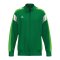 Erima Celebrate 125 Trainingsjacke Grün - gruen