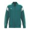 Erima Celebrate 125 Trainingsjacke Kids Blau Ftahitianbluemint - blau