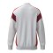 Erima Celebrate 125 Trainingsjacke Weiss - weiss