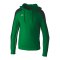 Erima EVO STAR Hoody Grün F1072403 - gruen