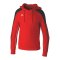 Erima EVO STAR Hoody Rot - rot