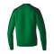 Erima Evo Star Sweatshirt Grün Fsmaragdpinegrove - gruen