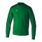Erima EVO STAR Sweatshirt Kids Grün Fsmaragdpinegrove - gruen