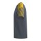 Erima Evo Star T-Shirt Grau Fslategreygelb - grau